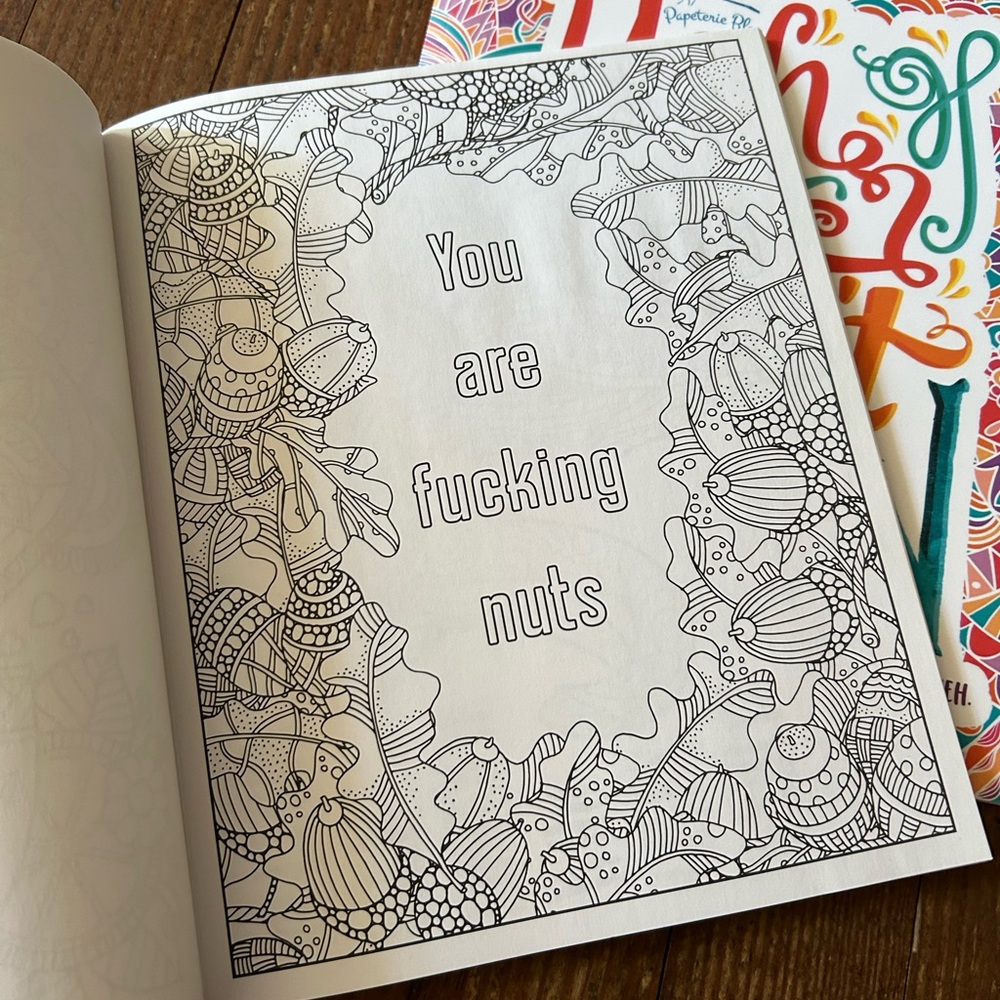 Funny Adult Coloring Books - Picture 3 of 7